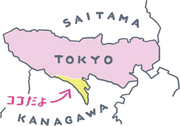 町田市の周辺情報