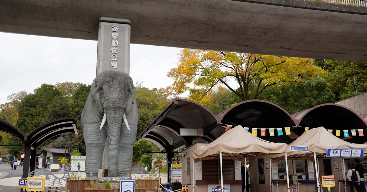 日野市の周辺情報