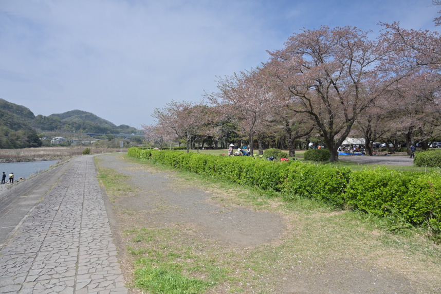 相模原市緑区の周辺情報