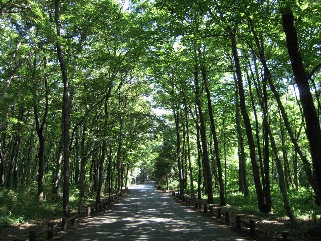 相模原市南区の周辺情報