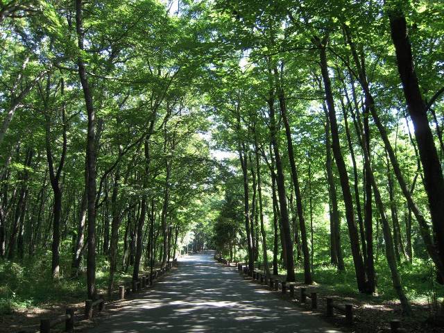 相模原市南区の周辺情報