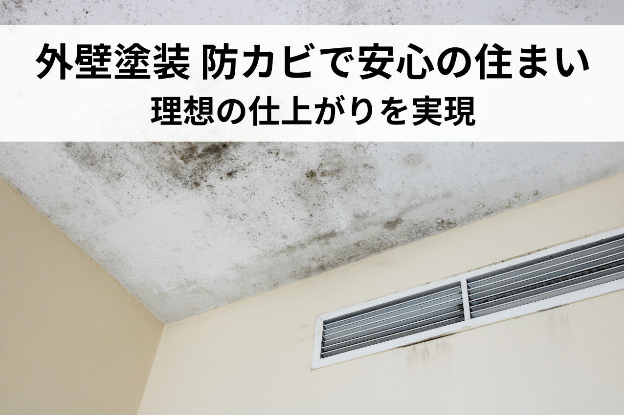 外壁塗装の防カビで安心の住まいを！理想の仕上がりを実現
